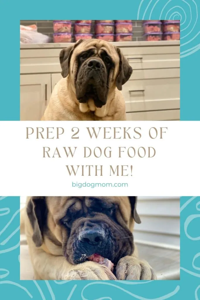 Efficient raw dog food preparation for large breeds in bulk