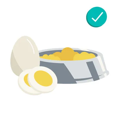 Eggs as a healthy dog treat