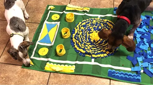 eko dog activity mat