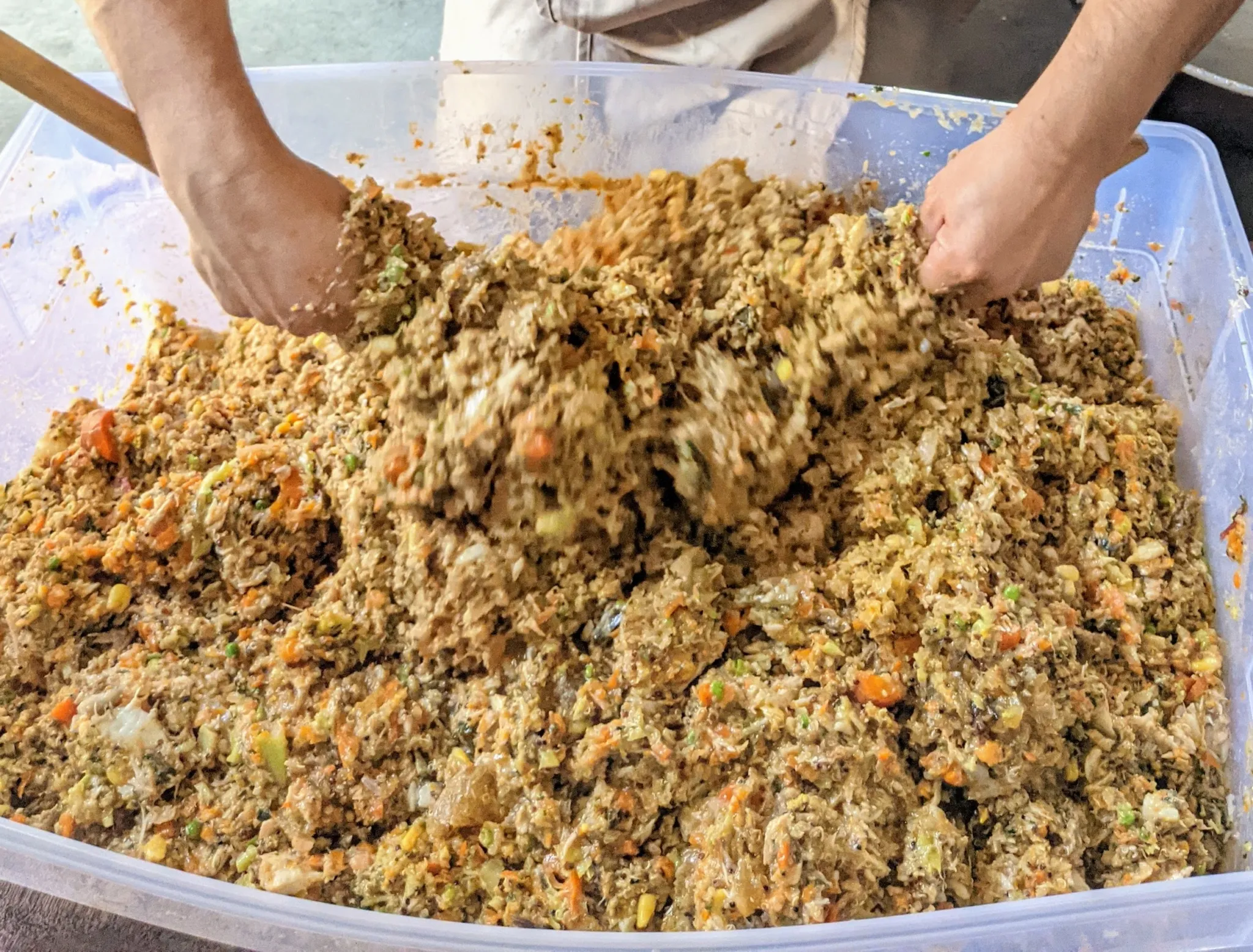 Enma thoroughly mixing all cooked ingredients, including meats and vegetables, in a large plastic bin.