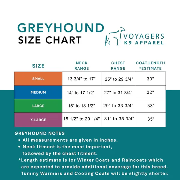 Example of a well-fitted Greyhound coat covering back and flanks properly