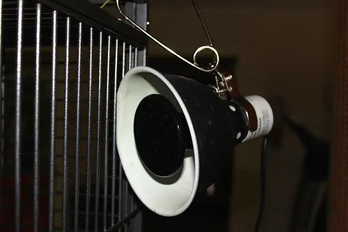 Exo Terra Ceramic Glow Lamp with 60W ceramic globe for safe, light-free heating