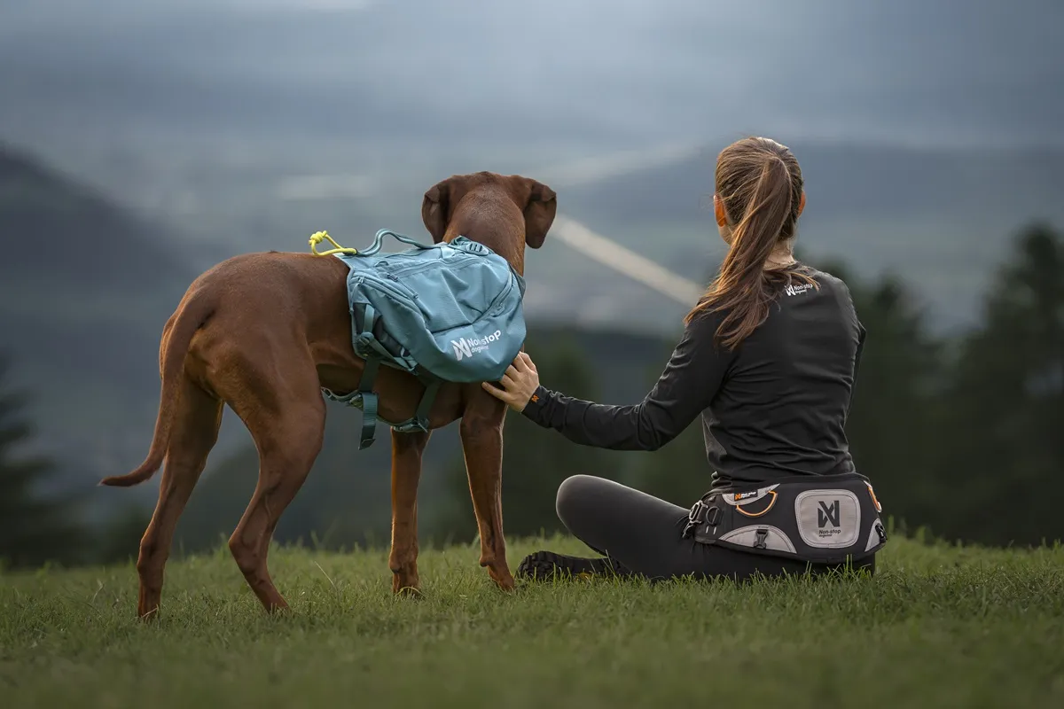 Explore belt for hands-free dog hiking