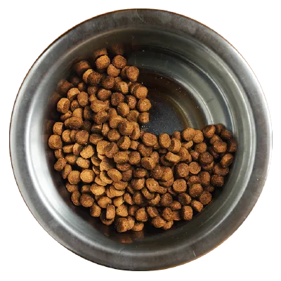 Feeding 20% old brand and 80% AvoDerm Natural dog food