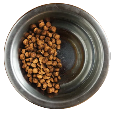 Feeding 50% old brand and 50% AvoDerm Natural dog food