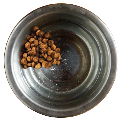 Feeding 80% old brand and 20% AvoDerm Natural dog food