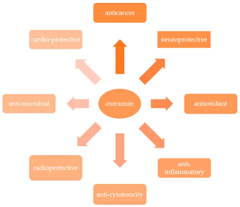 Figure showing the selected health properties of curcumin, including anti-inflammatory, anticancer, and antioxidant effects.