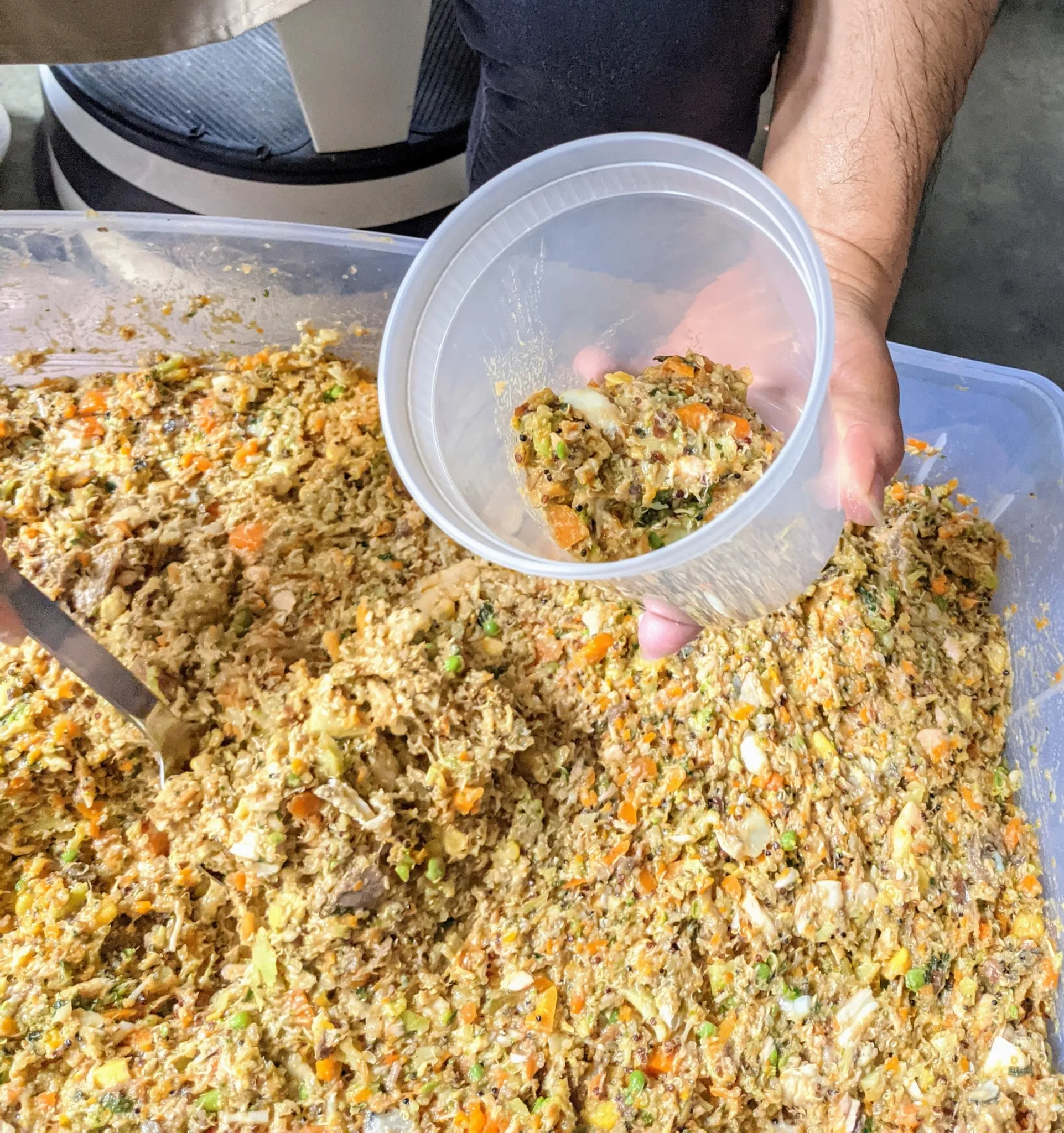 Filling quart-sized containers with homemade dog food in a production line process