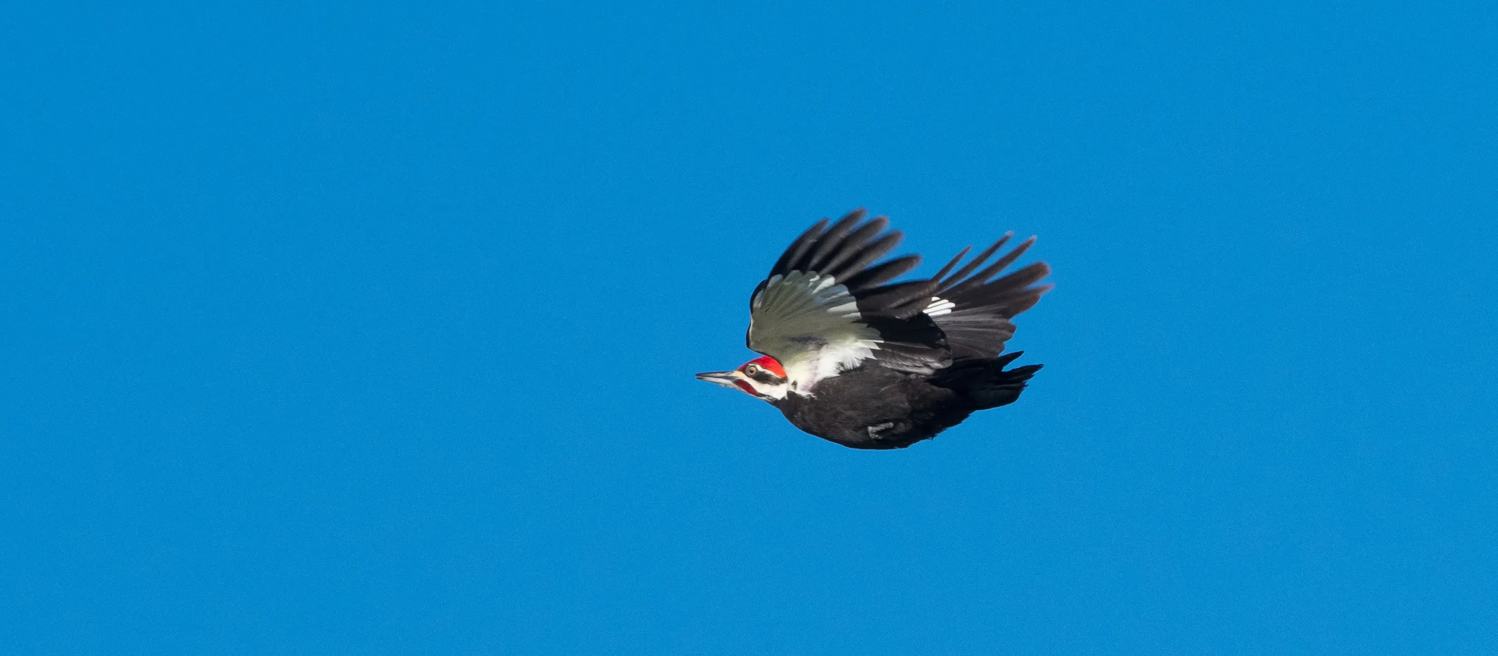 Final moments of excavation captured up close