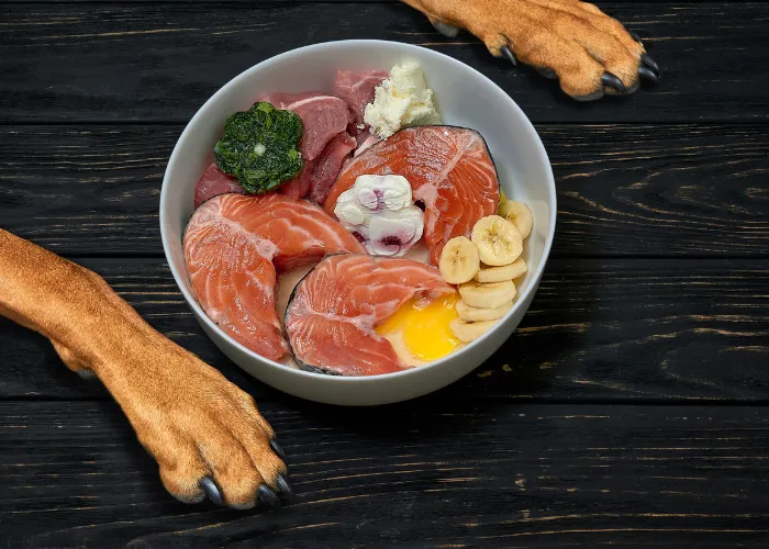Flaked salmon, quinoa, chopped carrots, and green beans mixed together in a bowl