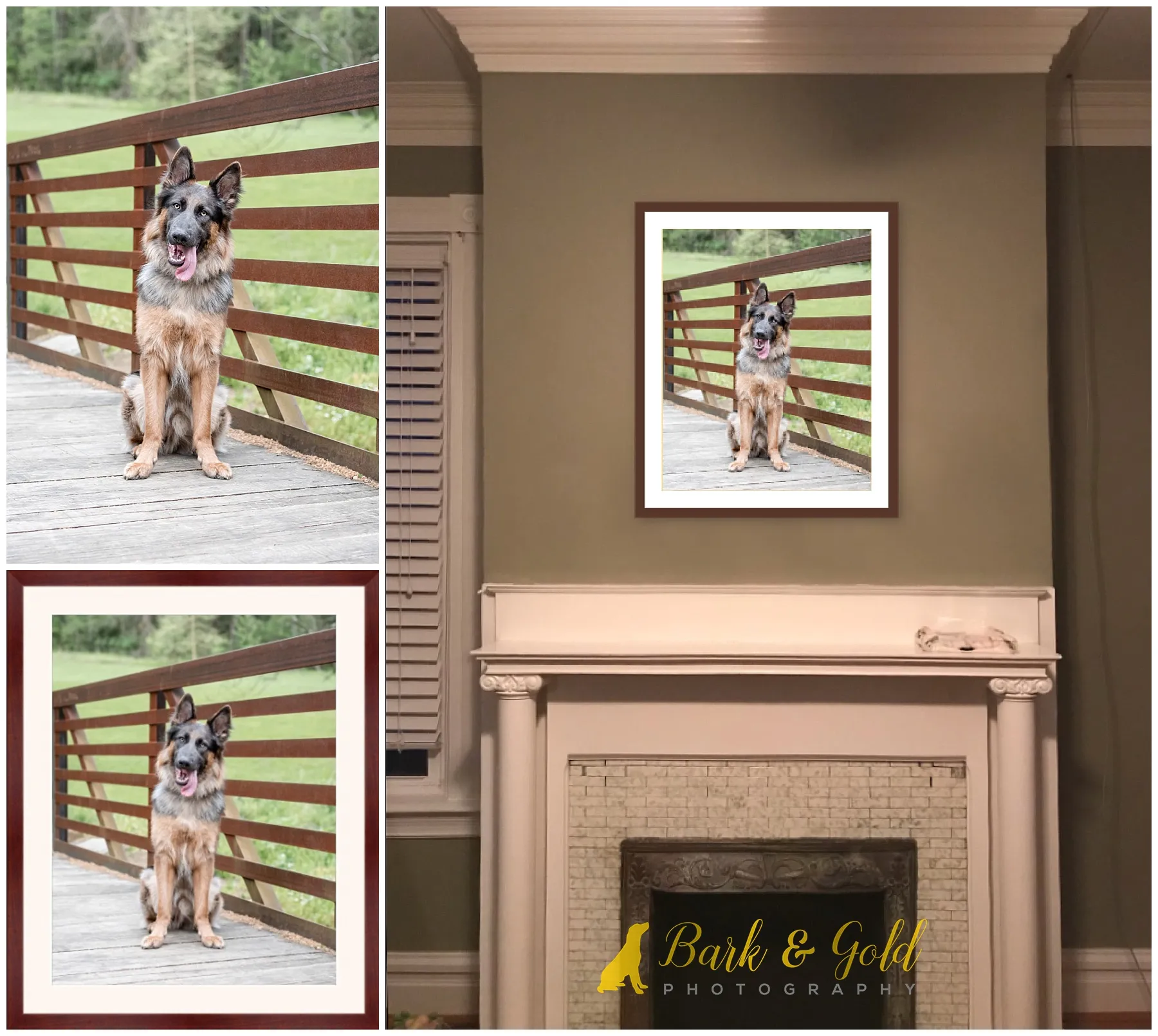 framed print of a German Shepherd on a bridge at Mingo Creek Park above a fireplace