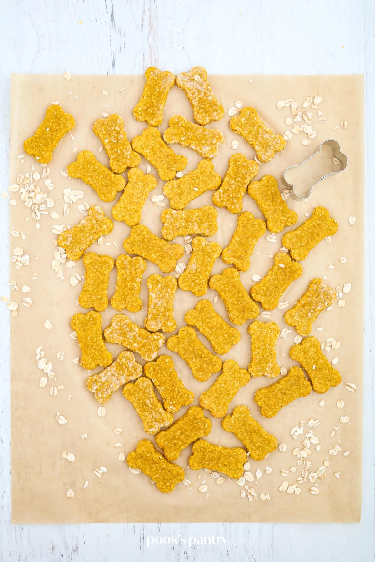 Freshly baked oatmeal pumpkin dog treats on parchment paper with a bone-shaped cookie cutter