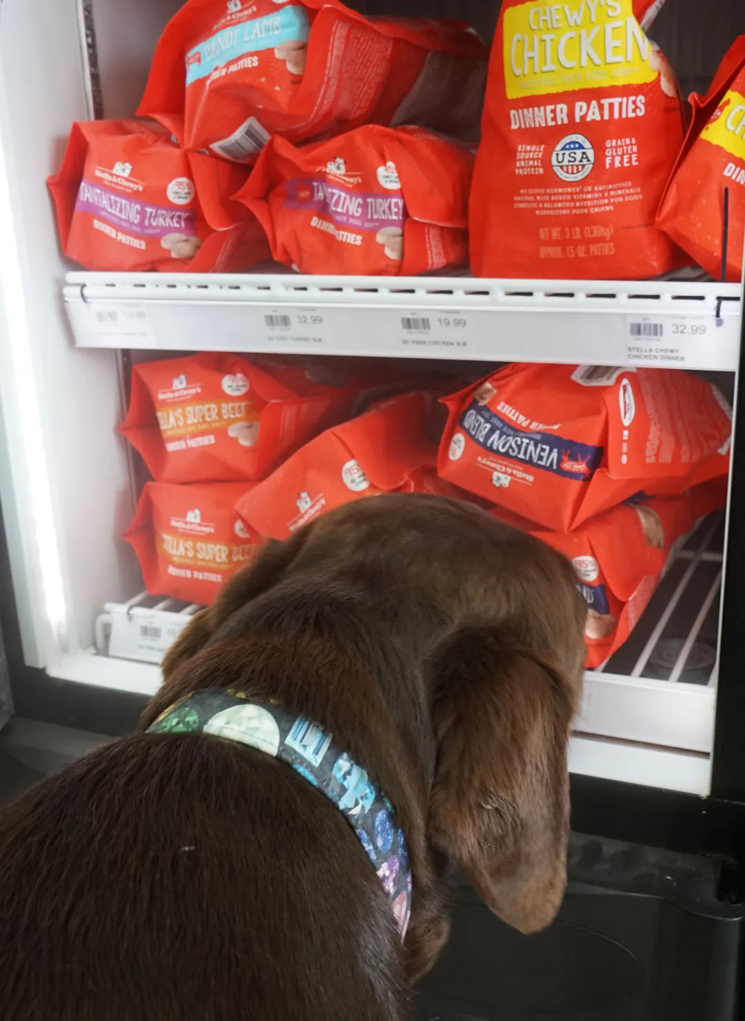 Frozen Stella & Chewy's raw dog food patties and morsels in a freezer