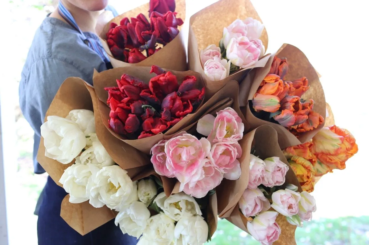 Garden harvest scene