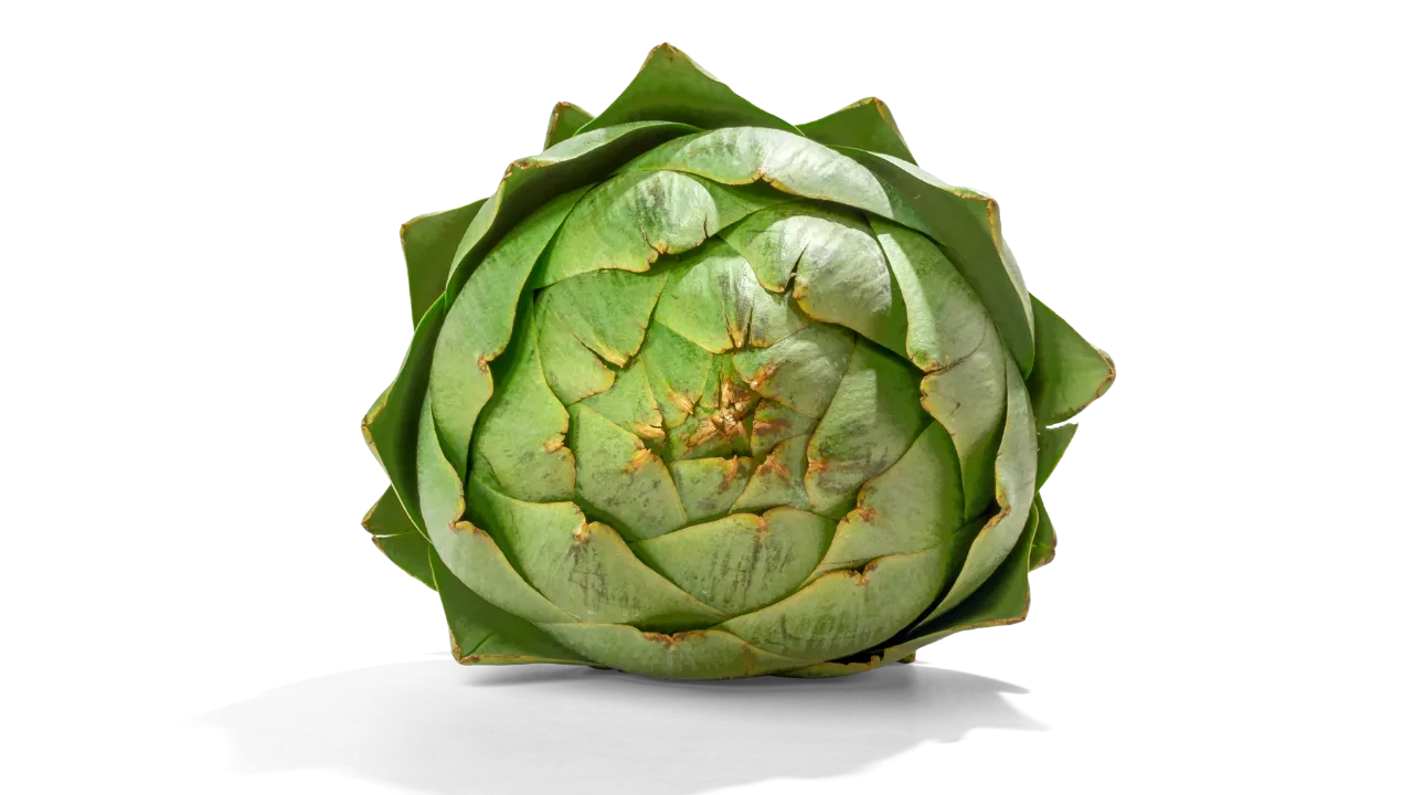 German Shepherd can eat artichoke