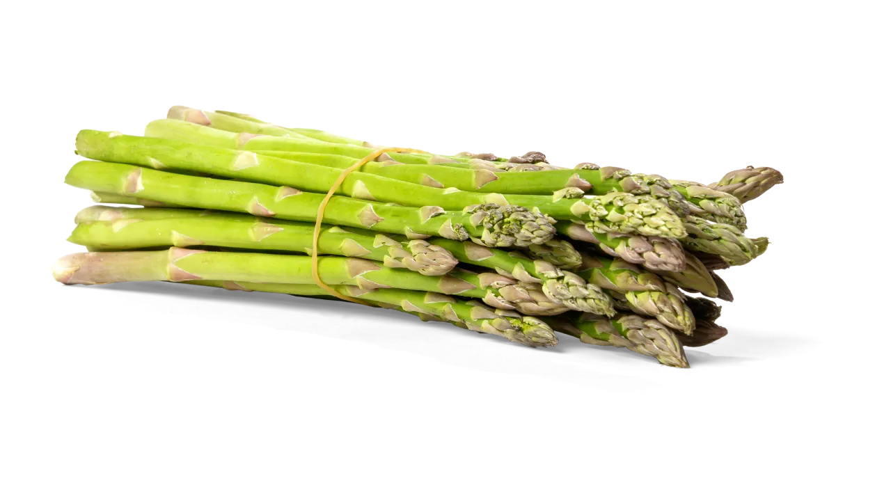 German Shepherd can eat asparagus
