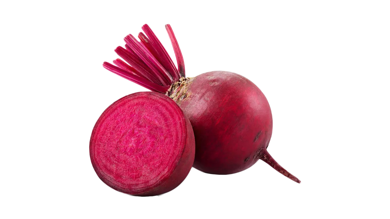 German Shepherd can eat beets