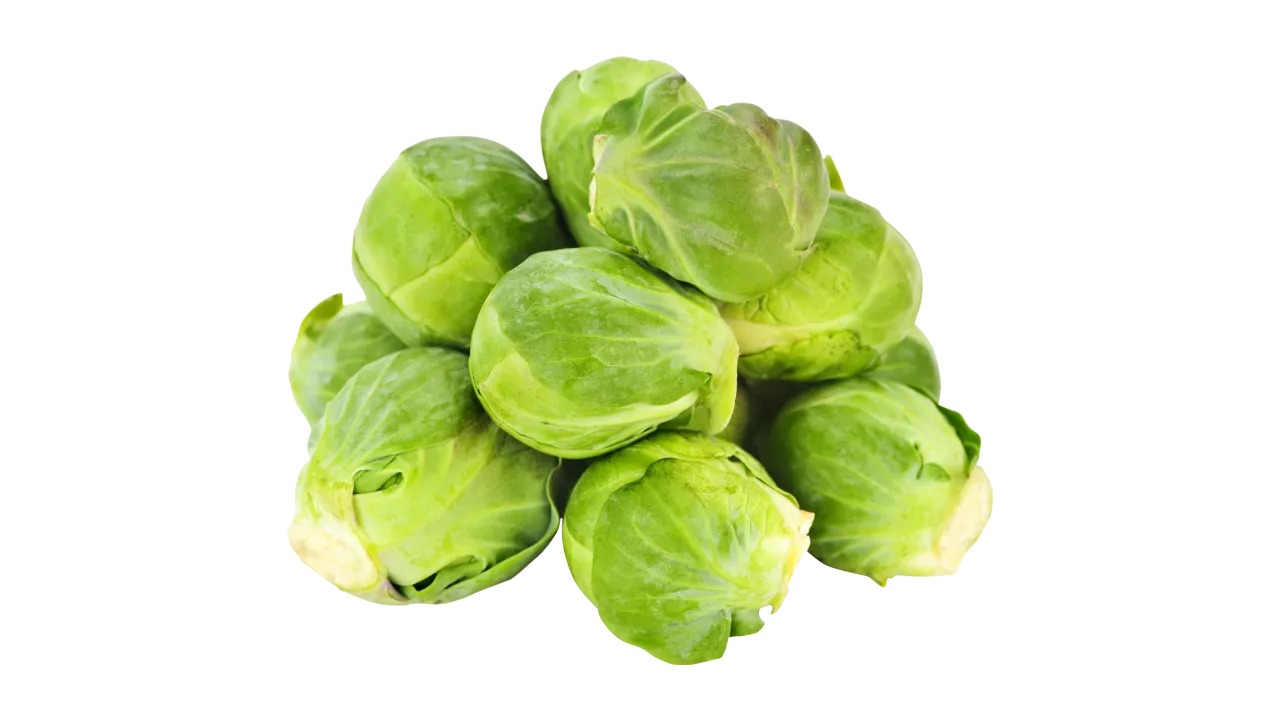 German Shepherd can eat Brussels sprouts