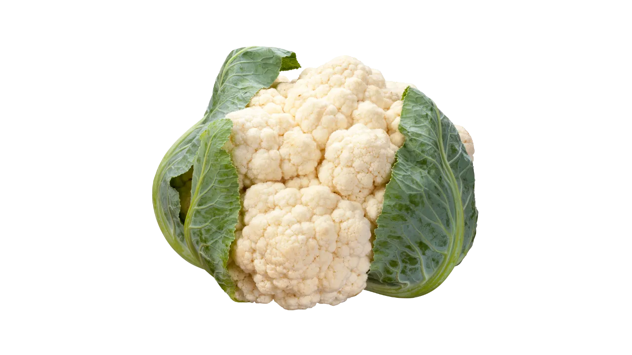 German Shepherd can eat cauliflower