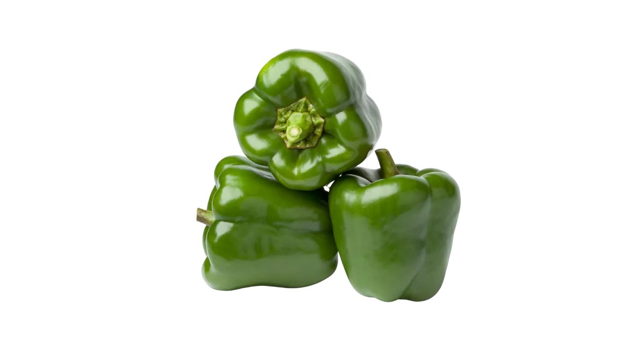 German Shepherd eating green bell peppers