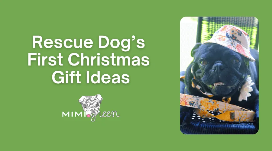 Gift ideas for a rescue dog's first Christmas, highlighting cozy collars and accessories
