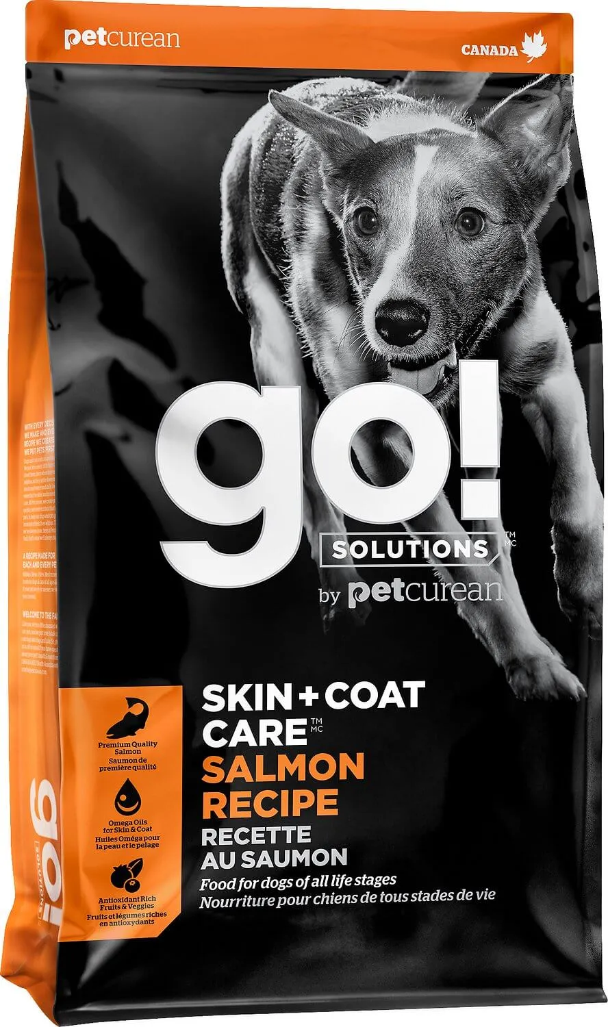 Go! Solutions Skin + Coat Care Salmon Dry Dog Food