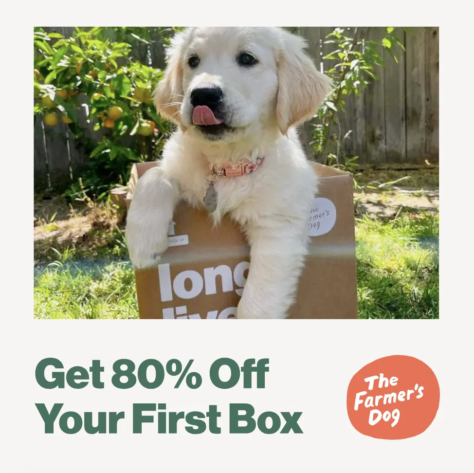 Golden retriever puppy in a box with text offering 80% off the first box from