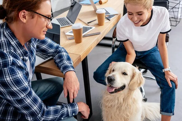 Golden Retriever sitting with people in an office