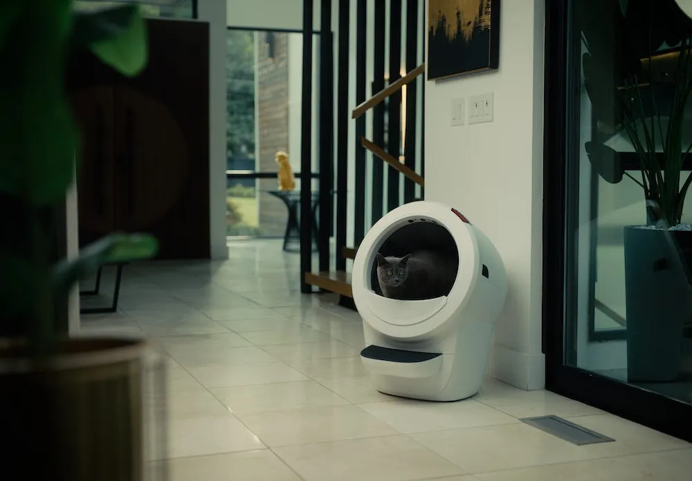 Grey cat using Litter-Robot in modern home