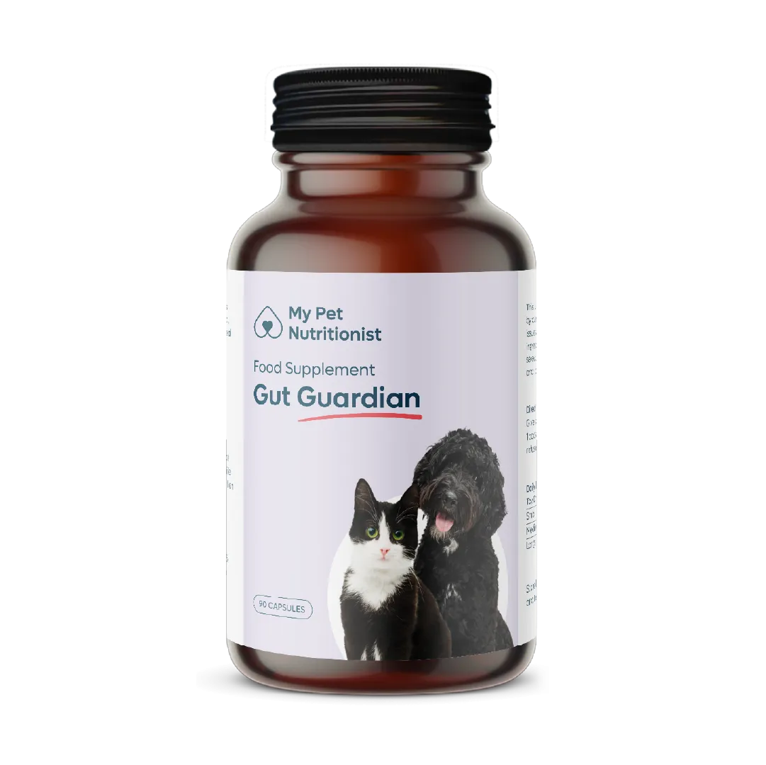 Gut Guardian supplement packaging for dog digestive health