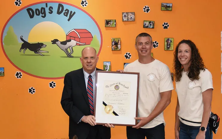 Happy dogs playing together in a large, grassy outdoor area