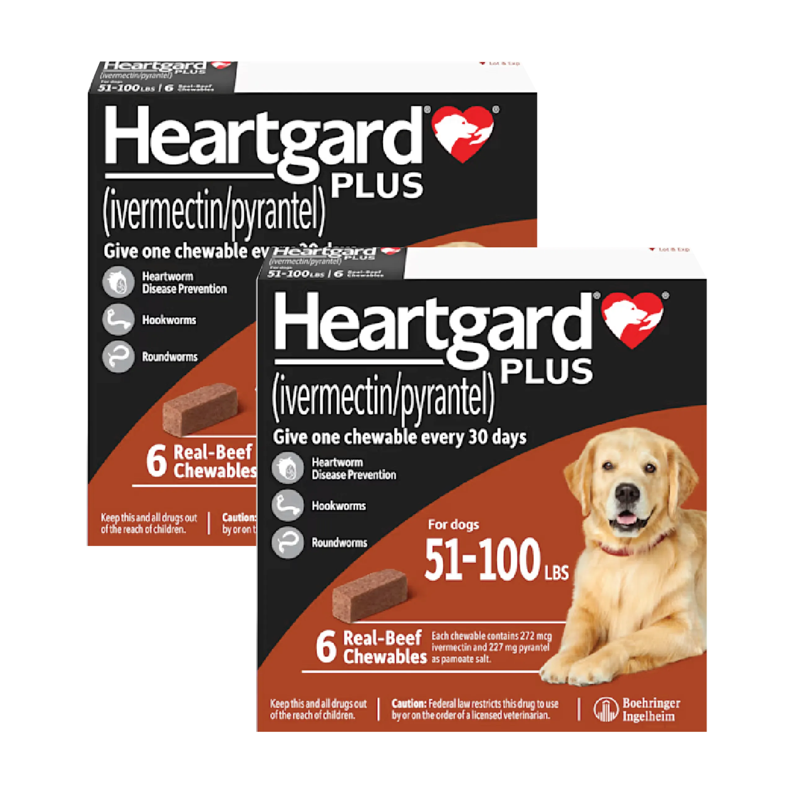 Heartgard Plus chewables for large dogs