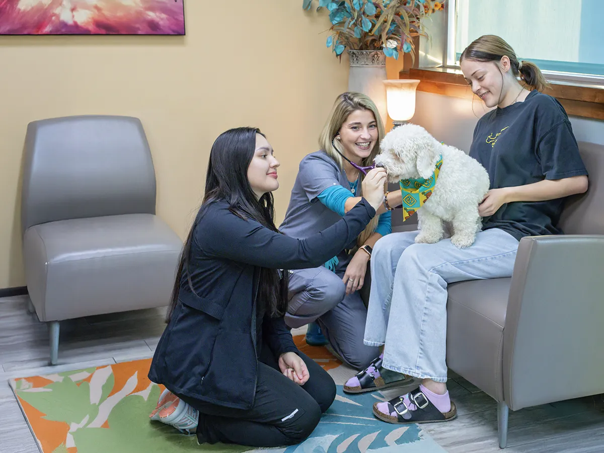 Hero image of veterinary clinic providing pet care services