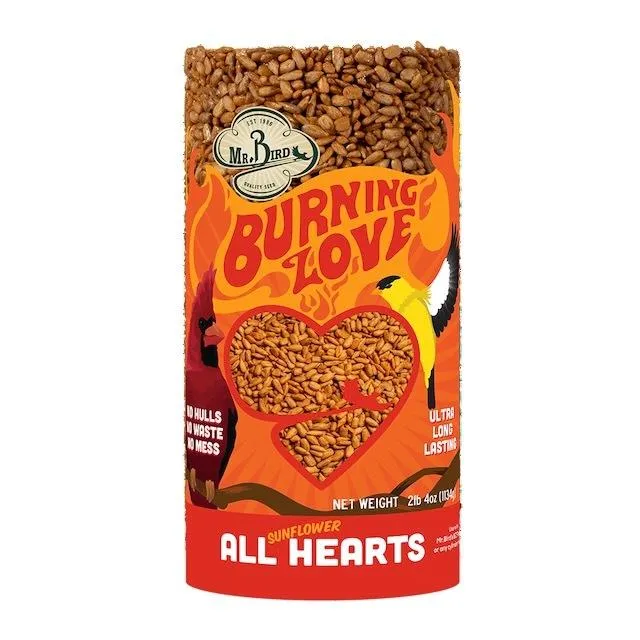 Hot sunflower chip cylinder, squirrel-resistant and less favored by starlings