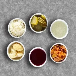 Illustration depicting the concept of probiotics for pet health, showing a dog with healthy gut bacteria