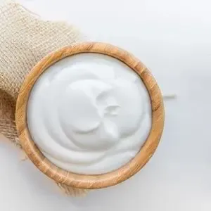 Illustration highlighting the historical discovery and benefits of probiotics, with a dog icon