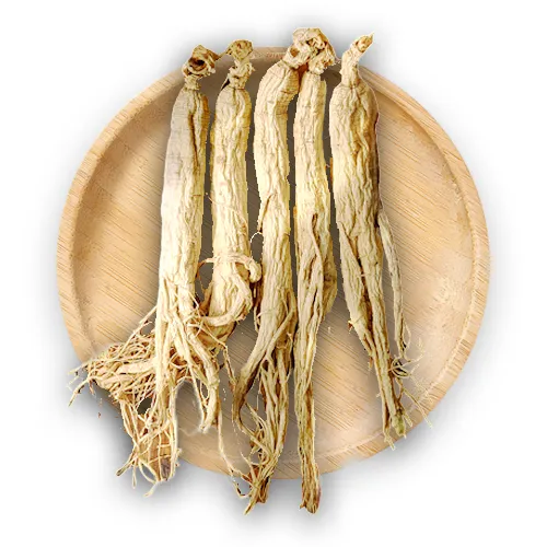 Illustrative image of traditional Korean Red Ginseng roots