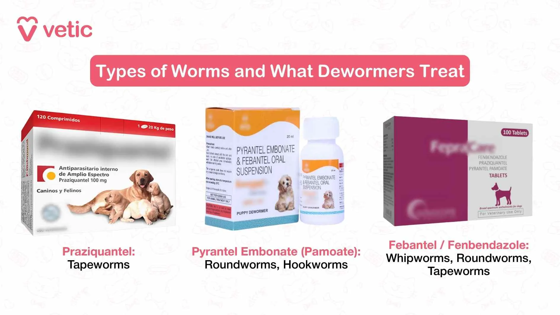 Image showcasing three common deworming compounds and the specific parasites they target, including Praziquantel for tapeworms and Pyrantel Embonate for roundworms and hookworms.
