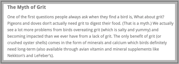 Infographic debunking the myth of unlimited grit for pigeons and doves