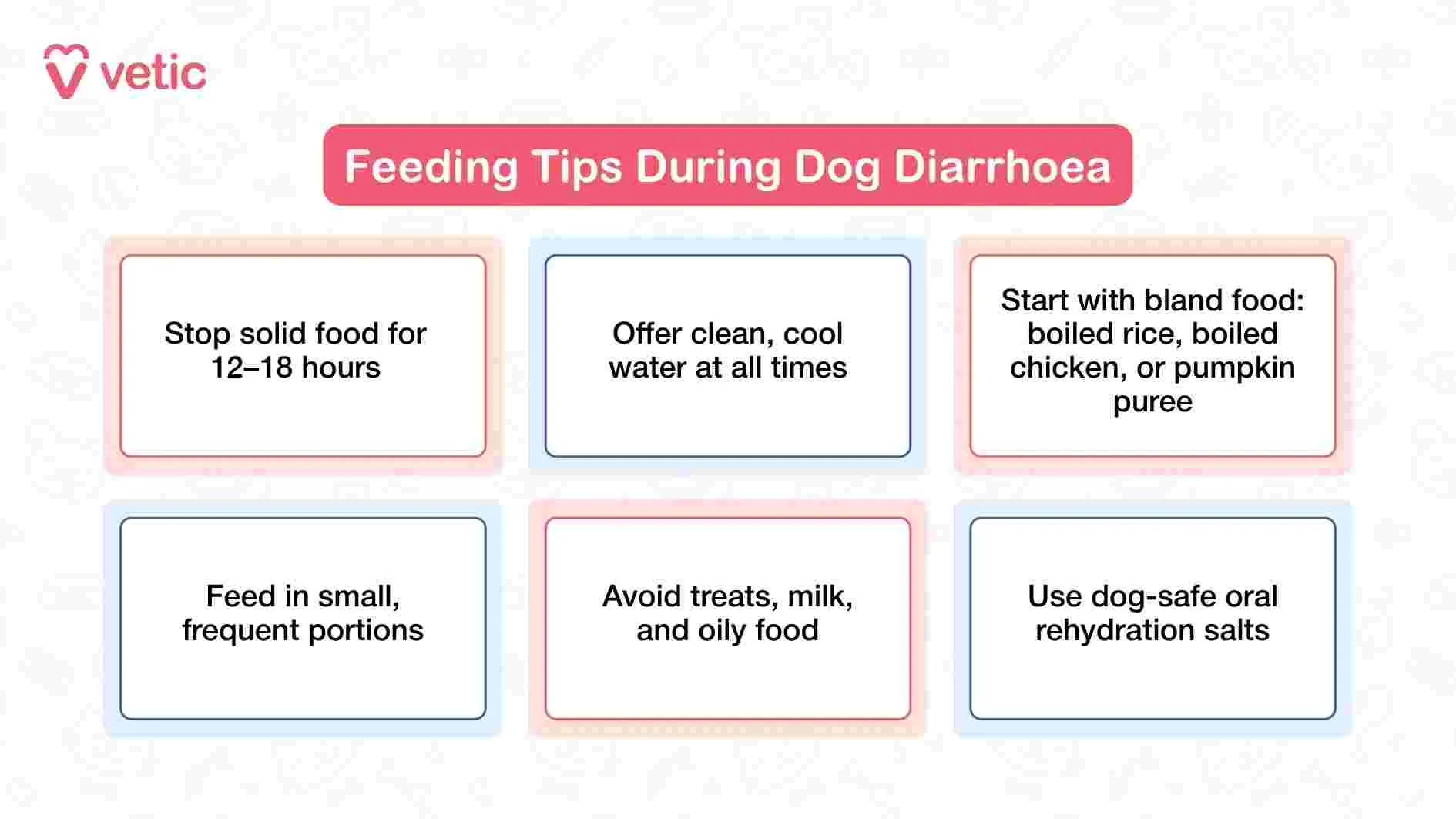 Infographic providing six practical feeding tips for dogs with diarrhea, such as withholding food, offering bland meals, and ensuring hydration.