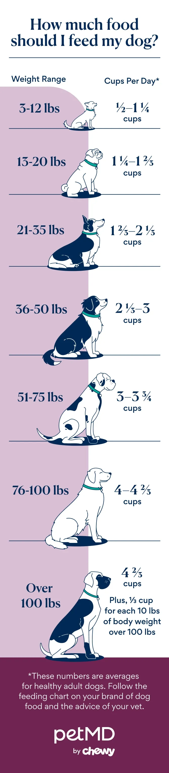 Infographic showing how much to feed a dog, with a dog feeding chart from PetMD