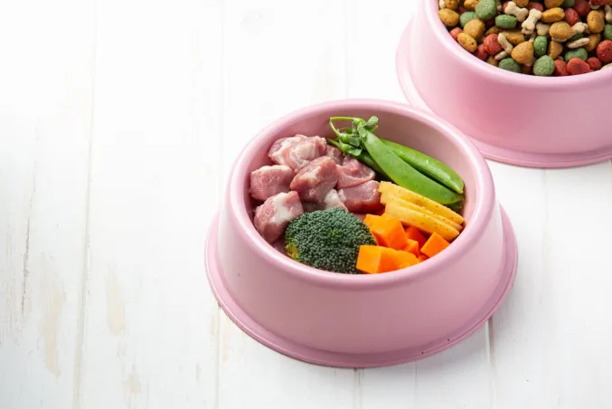 Ingredients for vet-approved homemade dog food for weight loss