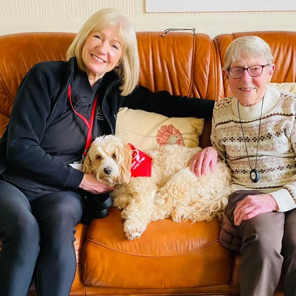 Jan Rayner with Teddy the Toodle, offering comfort and companionship to an elderly woman