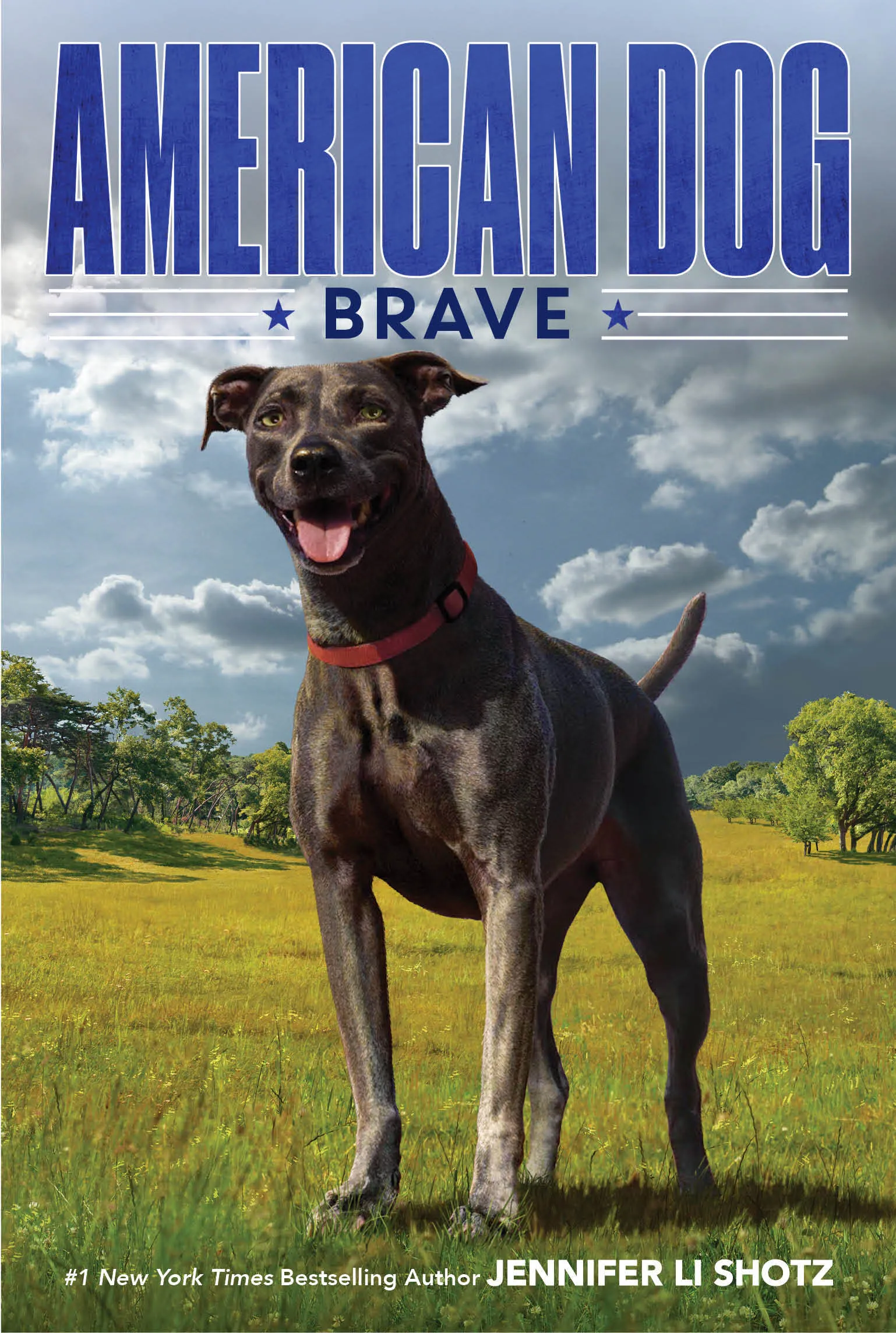 Jennifer Li Shotz's "Brave" book cover, featuring a courageous dog ready for adventure.