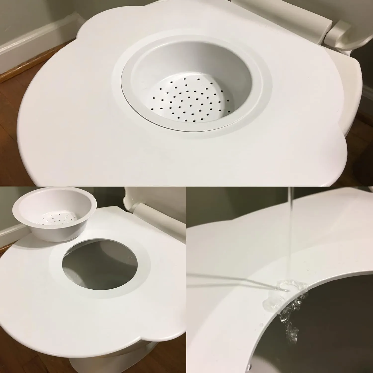 Kitty’s Loo Cat Training Kit on the human toilet