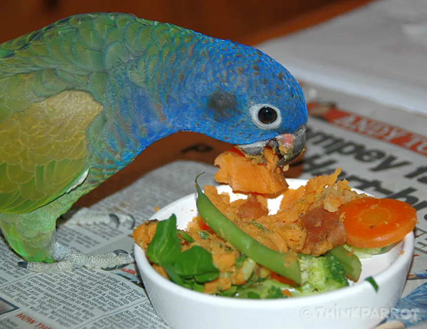Kobe eating a nutrient-rich evening meal with beta carotene foods