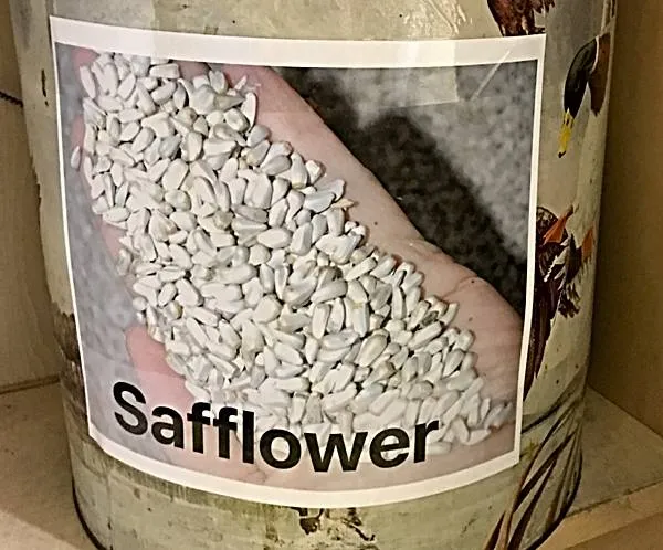 Labeled Birdseed Tin