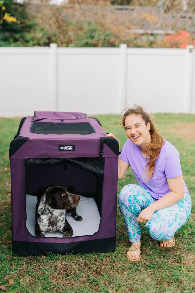 Large black dog comfortably resting inside an EliteField soft-sided dog crate