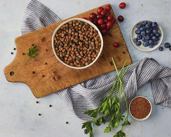 LifeSource Bits for cat immune health