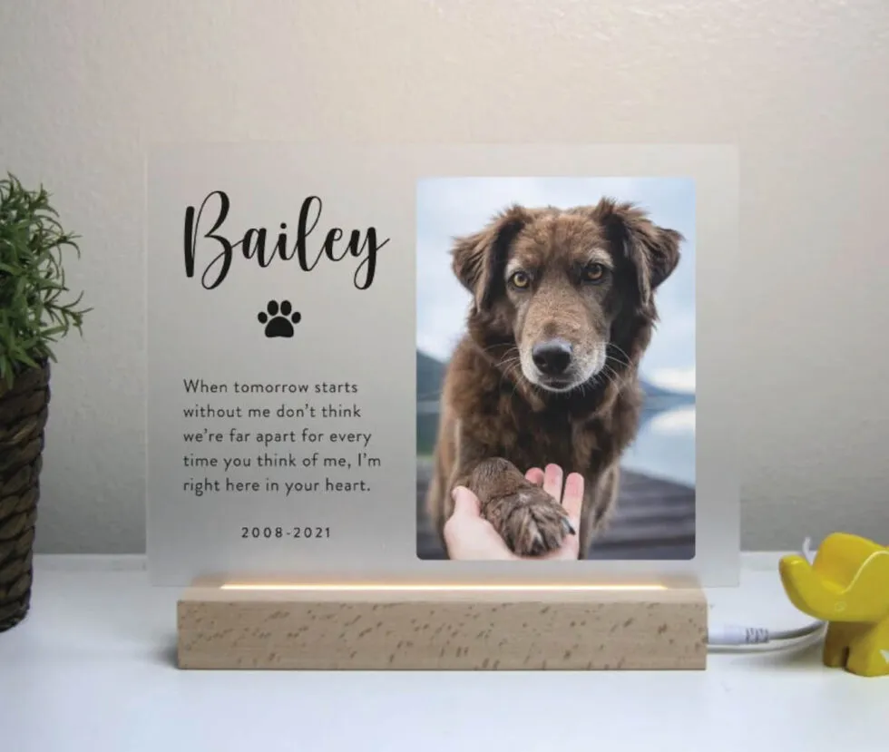 Light-up acrylic pet grief memorial plaque with customizable details